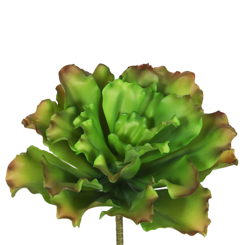 Plante grasse artificielle 9 po