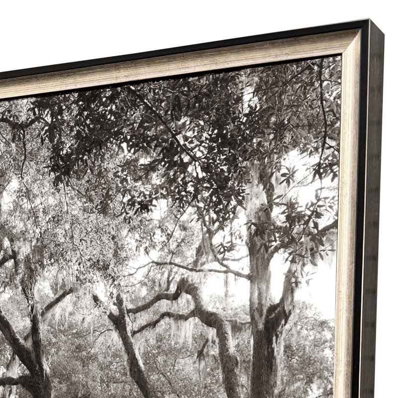 Art encadré sans verre Georgia Stroll