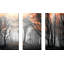 Autumn Woods - Ensemble de 3 reproductions de photos sur toiles tendues-711619560