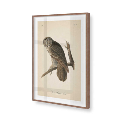 Impression d'un hibou perché dans un