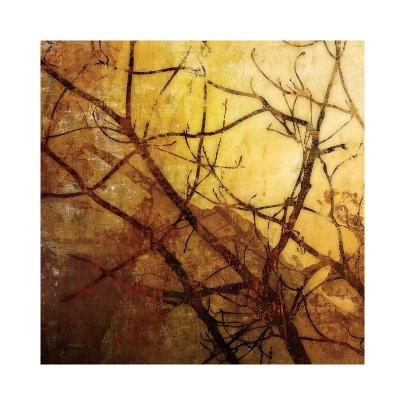 Ombre Branches I by James McMasters - Wrapped Canvas Print, 30.48 cm H x 30.48 cm W