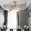 Diep 4 Blade LED Ceiling Fan with Remote