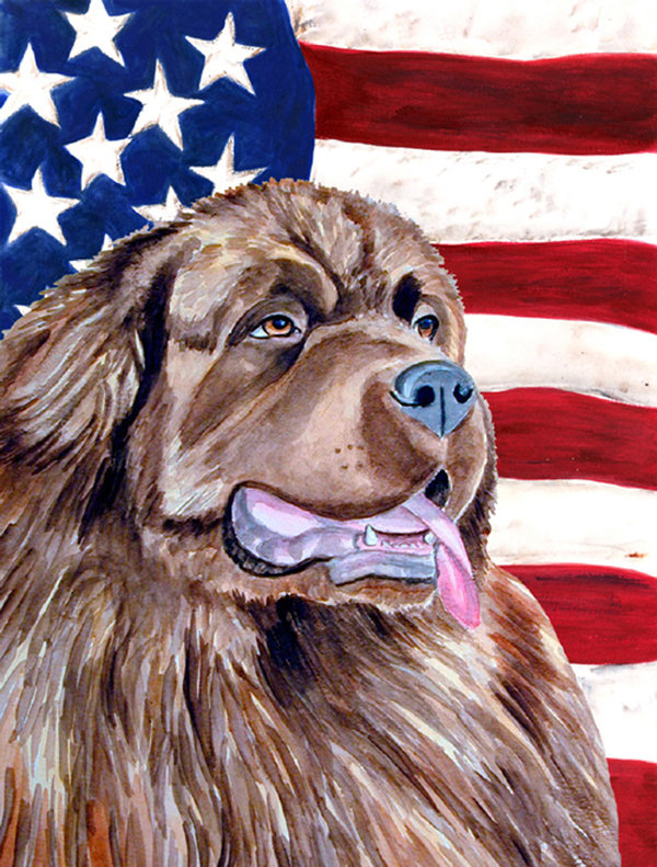 2 côtés en polyester de 2 côtés american drapeau de jardin, Norfolk Terrier 1
