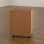 Buariki 40.4 cm W 2 -Drawer Filing Cabinet-14605937