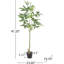 120CHA PACHIRA Macrocarpa artificiel-1366583764