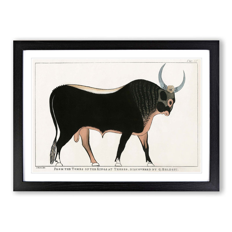 The Apis Bull by G.B. Belzoni - Picture Frame Graphic Art Print, 27cm H x 36cm W x 2cm D, Black Framed