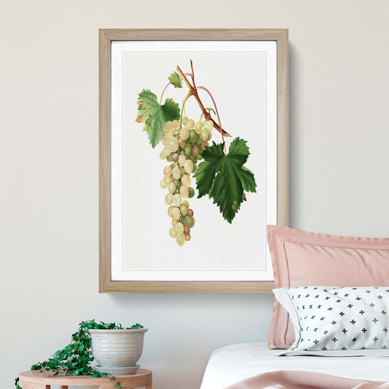 Muscat Grapes by Giorgio Gallesio - Picture Frame Painting Print, Oak Framed, 65cm H x 48cm W x 2cm D