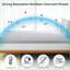 Surmatelas complet de 3 pouces, mousse viscoélastique rafraîchissante, certifié CertiPUR-US | Gris clair | Polyuréthane-706840436-706840438