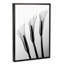 Callas I par Hong Pham - reproduction de photo-49902679-53128233