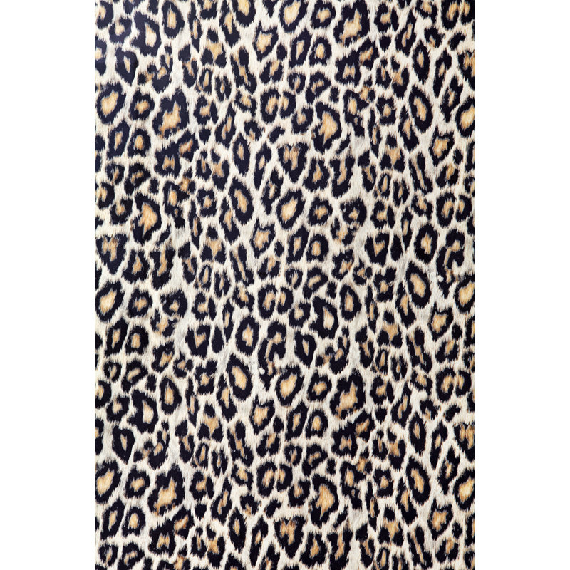 Leopard Texture by S-cphoto - No Frame Art Prints on Canvas, 122cm H x 81cm W