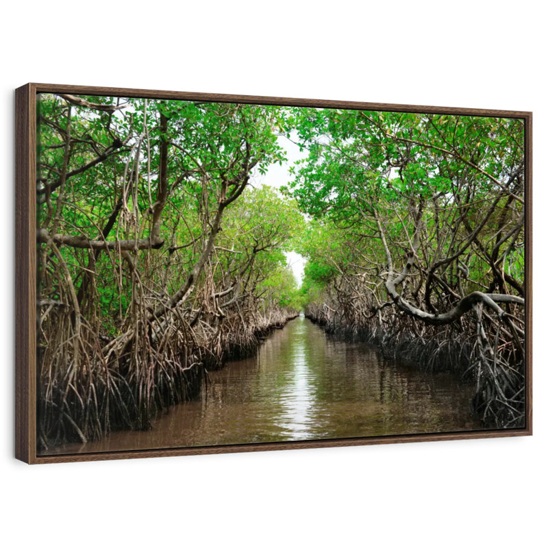 Mangroves de Everglade City, Cadre flottant noyer, 40 po x 27 po