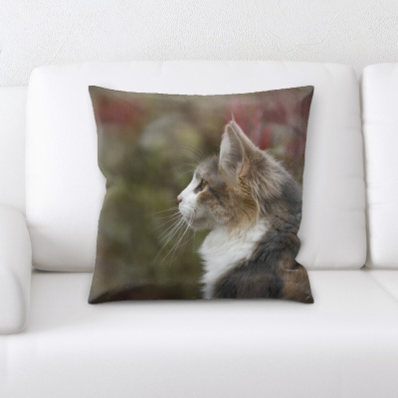 Lassiter Cat Throw Pillow