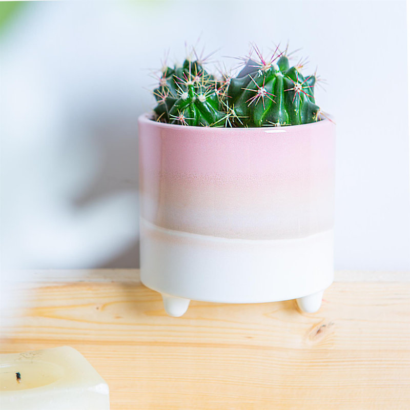 Ceramic Pot Planter, Pink