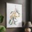 «Watercolor Fruit Contour I», reproduction encadrée - bois massif-441214670
