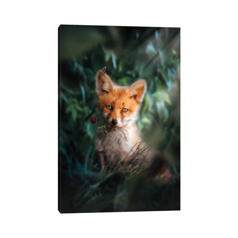 The Gentle Fox Cub by Zenja Gammer - Print on Canvas, 66.04 cm H x 45.72 cm W x 1.91 cm D, Wrapped Canvas