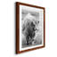 Gretna Green Highland - Photographie avec cadre photo-1089543908-1089543911