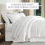 Becky Cameron 14" Bed Skirt-1385329555-1385329554