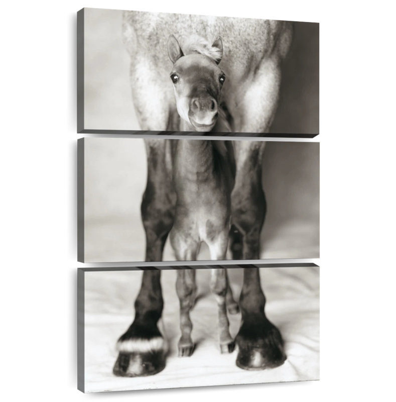 Brampt Jumbo And Nippa, 38" H x 24" W