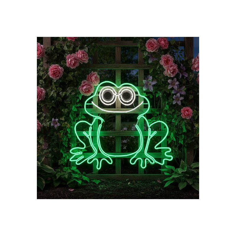 Plaque de grenouille en 2 dimensions