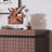 Modern Accent Storage Sideboard