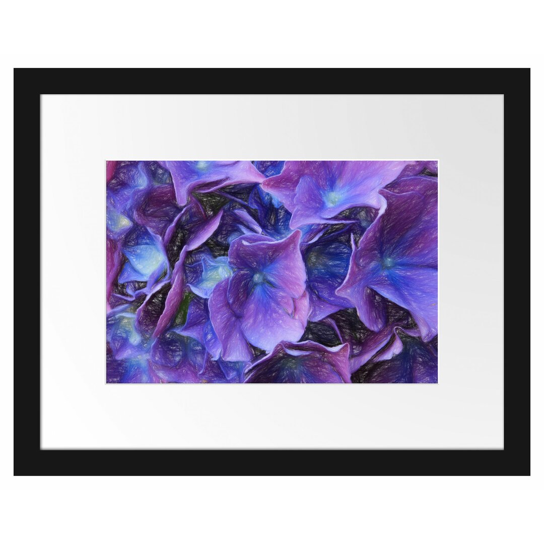 Gerahmter Fotodruck Hydrangea Flower