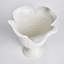 Bocal Rachana-597506864-564372801