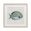 «Coastal Bliss Fish», reproduction sous verre encadrée, design par Danhui Nai-2098003332-2098003337