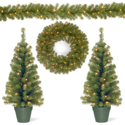 The Holiday Aisle® 4 Piece Evergreen Assortment with Potted Base, LED Lights