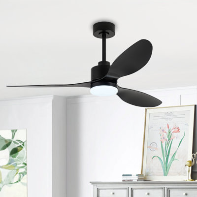 Loritta 3-Blade Ceiling Fan with Light