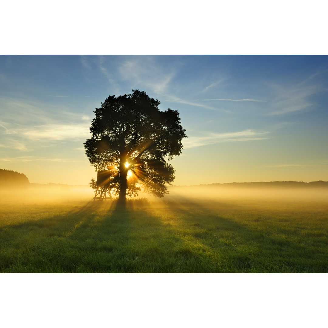 Beleuchteter Baum von Avtg - Druck