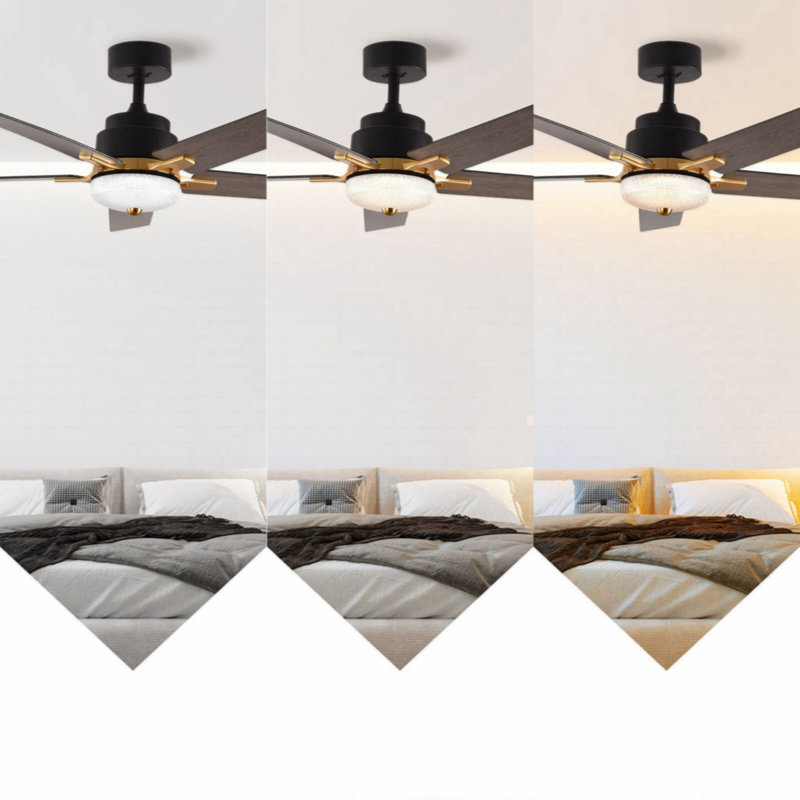 Kyriakos 52'' Ceiling Fan with LED Lights