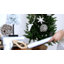 L'ornement Holiday Aisle®