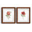 Pivoine écarlate - ensemble de 2 reproductions d'art-1707268030-1707267971-1707268031