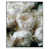 White Floater Frame selected