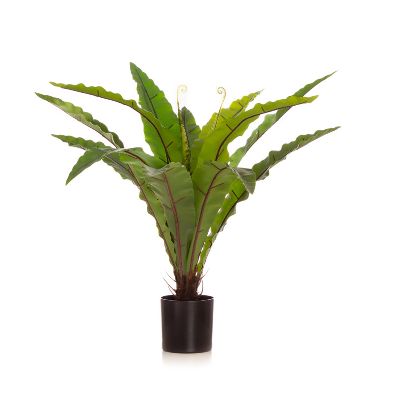 70cm Faux Real Touch Birds Nest Fern