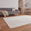 Atward area rug Machine Woven Rectangle Cream-1675090851
