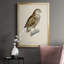 «French Owls I», impression sur papier-1832934063-1832933971