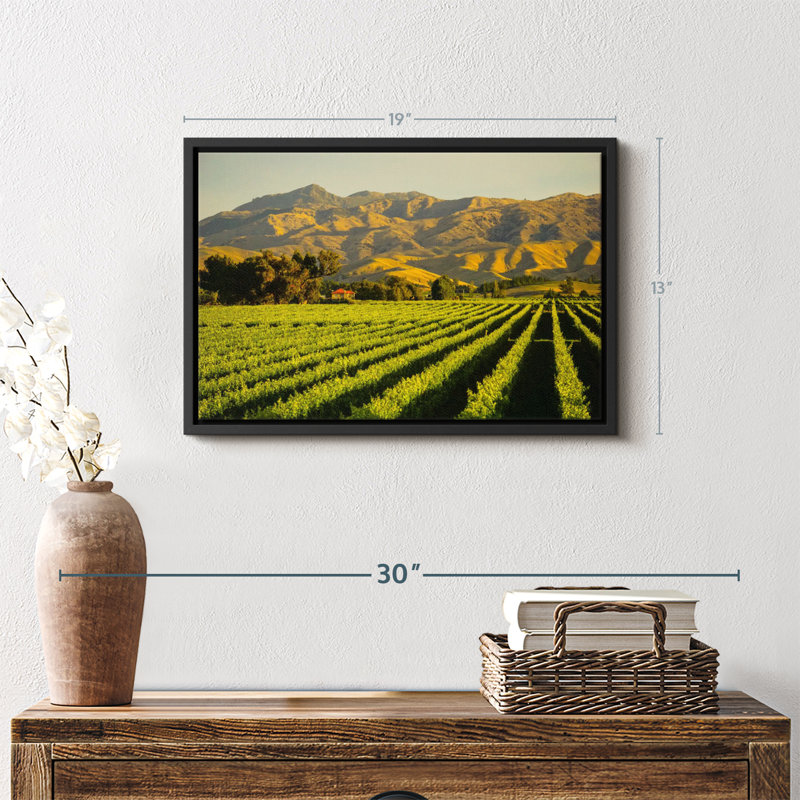 Nature " Blenheim Vineyard Wall Art ", 13" H x 19" W