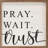 Pray Wait Trust White-1213909384