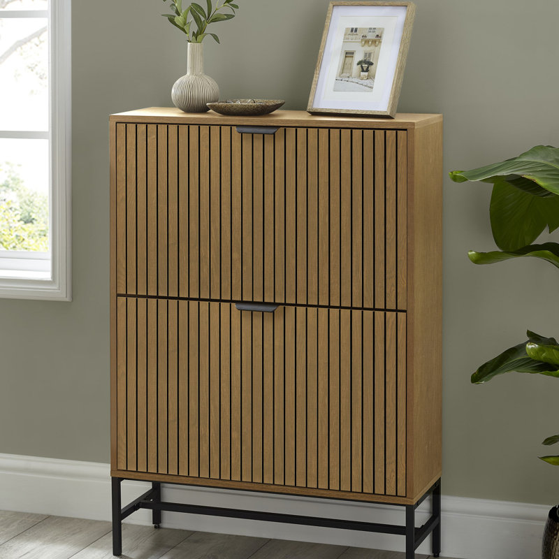 Savion 2 Door Shoe Storage Cabinet