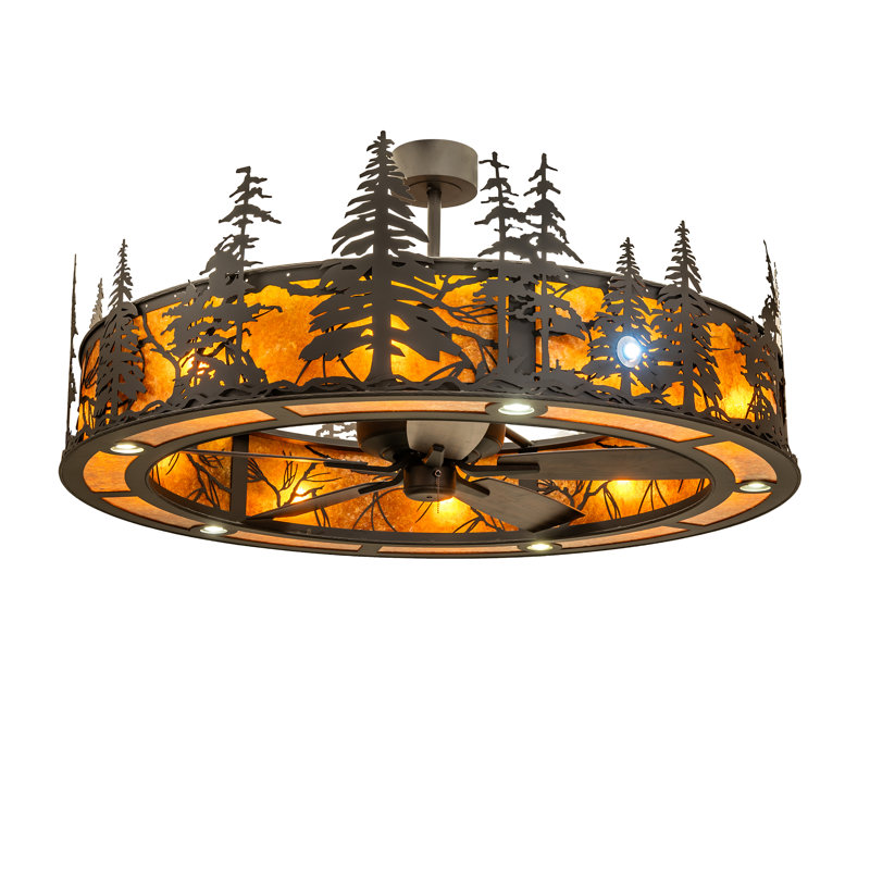 Ceiling Fan