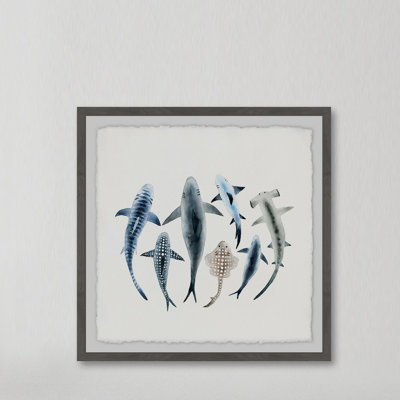 «Shark Types», reproduction encadrée