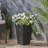 Jude Planter
