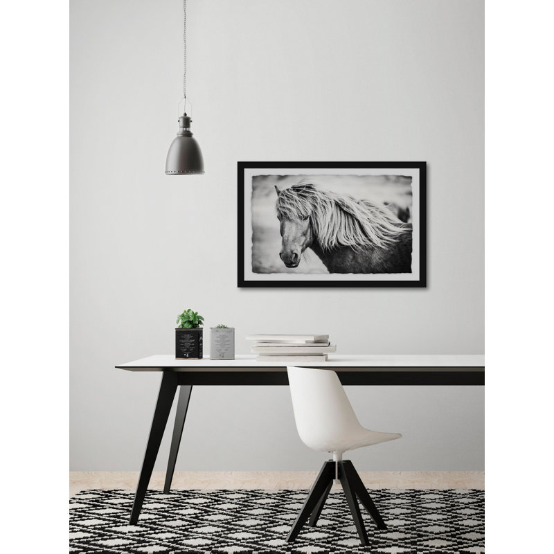 Beautiful Mane - Reproduction de photo sur papier encadrée, H 24 po x l 36 po x P 1 po, Blanc