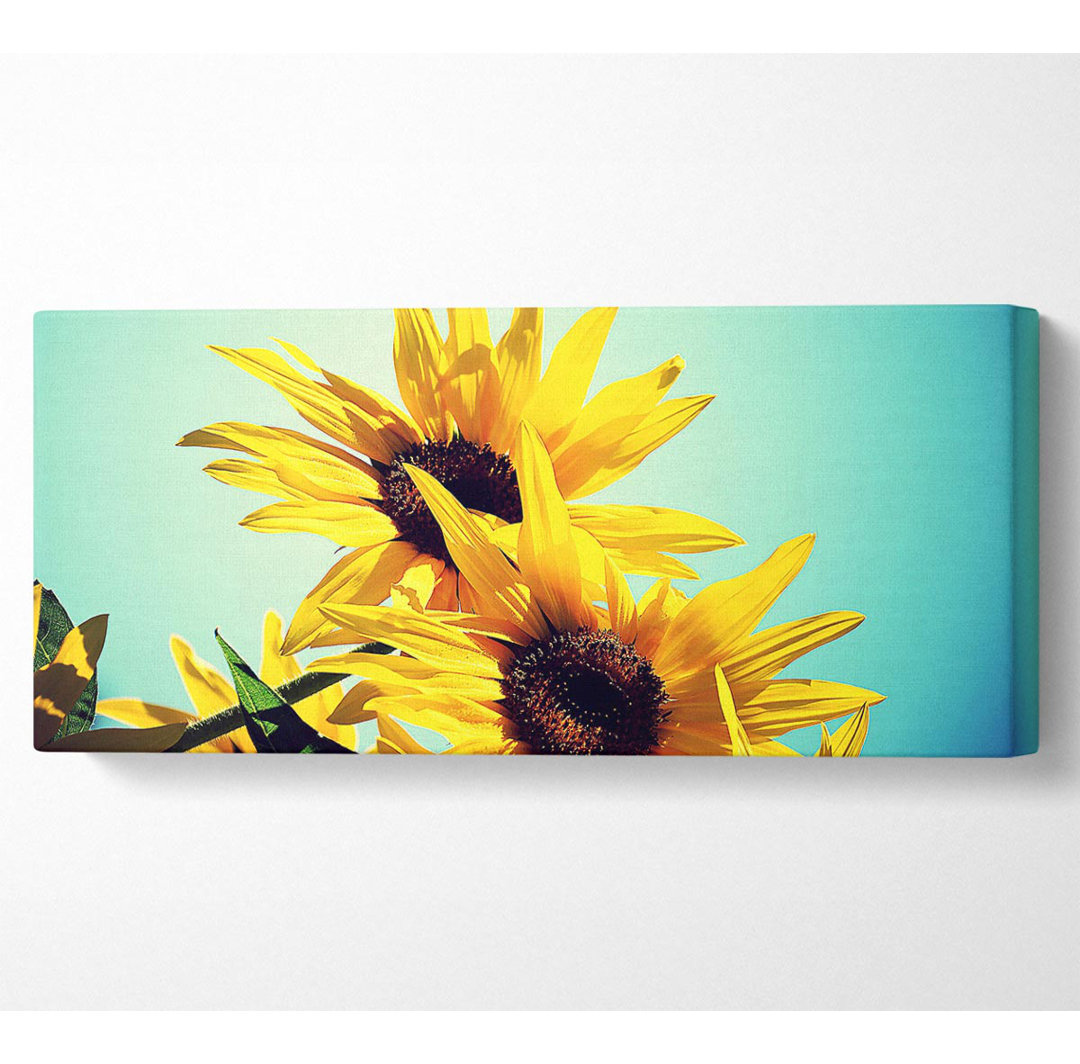 Sonnenblumen gegen blauen Himmel - Panorama-Kunstdrucke auf Leinwand