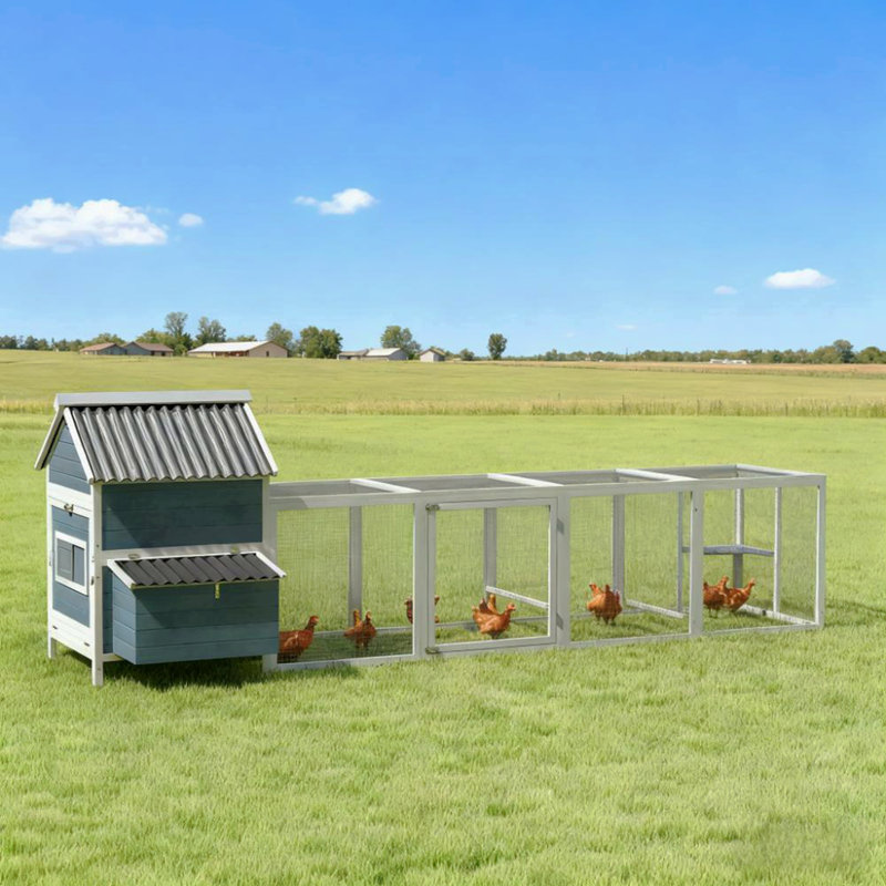 Poulailler pour 10 à 15 poulets