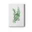 Eucalyptus I - peinture sur toile tendue-963245674