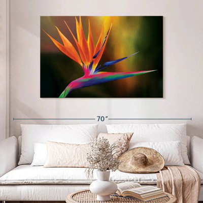 Strelitzia Harnek Delightful
