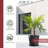 Handcrafted Plastic Indoor / Outdoor Pot Planter-76278109-75201455