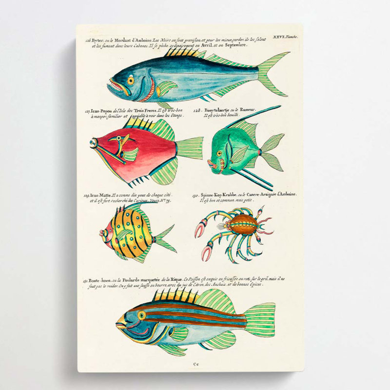 East Indies Fish & Crab Illustrations XXVI by Utagawa Kunisada - Wrapped Canvas, 60cm H x 40cm W x 3cm D